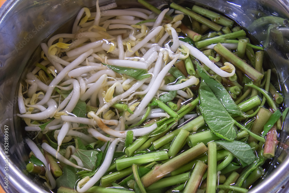 Morning glory and bean sprouts soaked Morning glory and bean sprouts soaked
