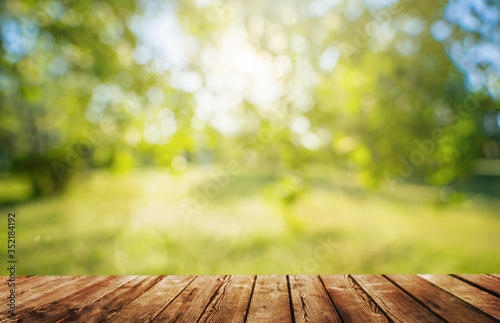 a Wooden table and spring forest background