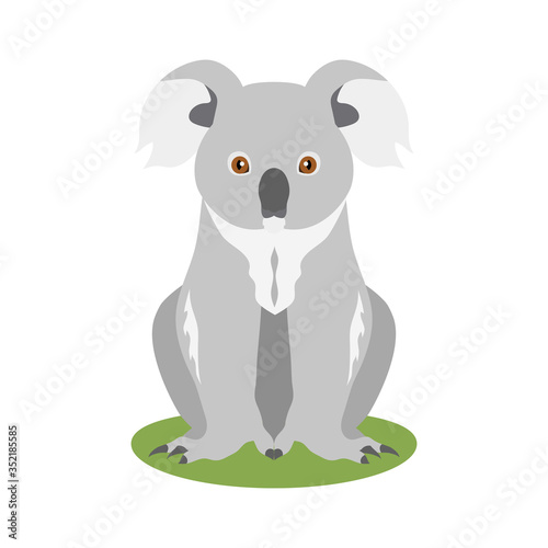 Vector illustration of sitting koala isolated on white background