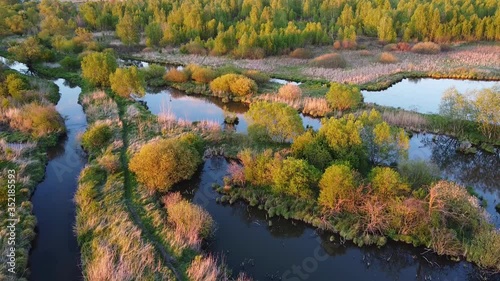 Beautiful aerial view on small rural rivers and forest trees from above, summer water landscape in sunset light