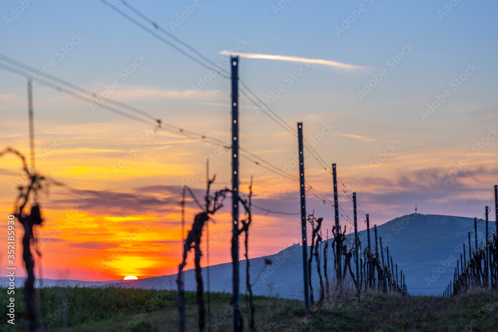 Obraz premium Sunrise in Palava with Devicky ruins, Southern Moravia, Czech Republic
