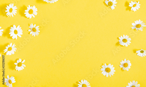 Beautiful flowers composition. Pattern of white daisy. Chamomile on yellow background. Summer flowers concept. Flat lay, top view, copy space