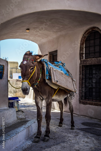 Obraz na plátně Santorini Island in Greece