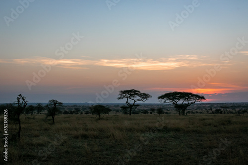 タンザニア・セレンゲティ国立公園の、朝焼けと広大な空 © 和紀 神谷