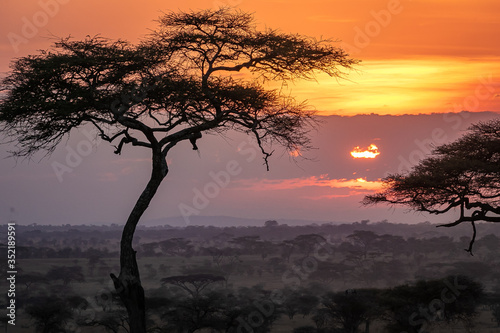 タンザニア・セレンゲティ国立公園の、雲間から見える色鮮やかな朝焼けとアカシアの木 © 和紀 神谷