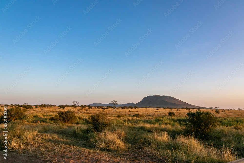タンザニア・セレンゲティ国立公園のモーニングサファリで見た草原と青空