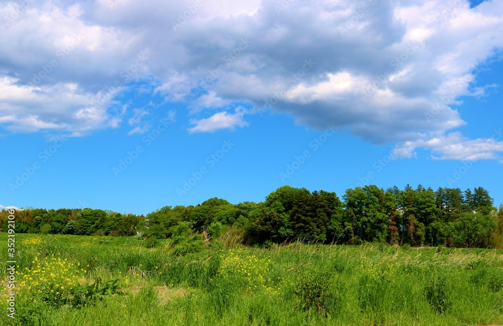 緑　空　河川敷　渡良瀬　風景　栃木