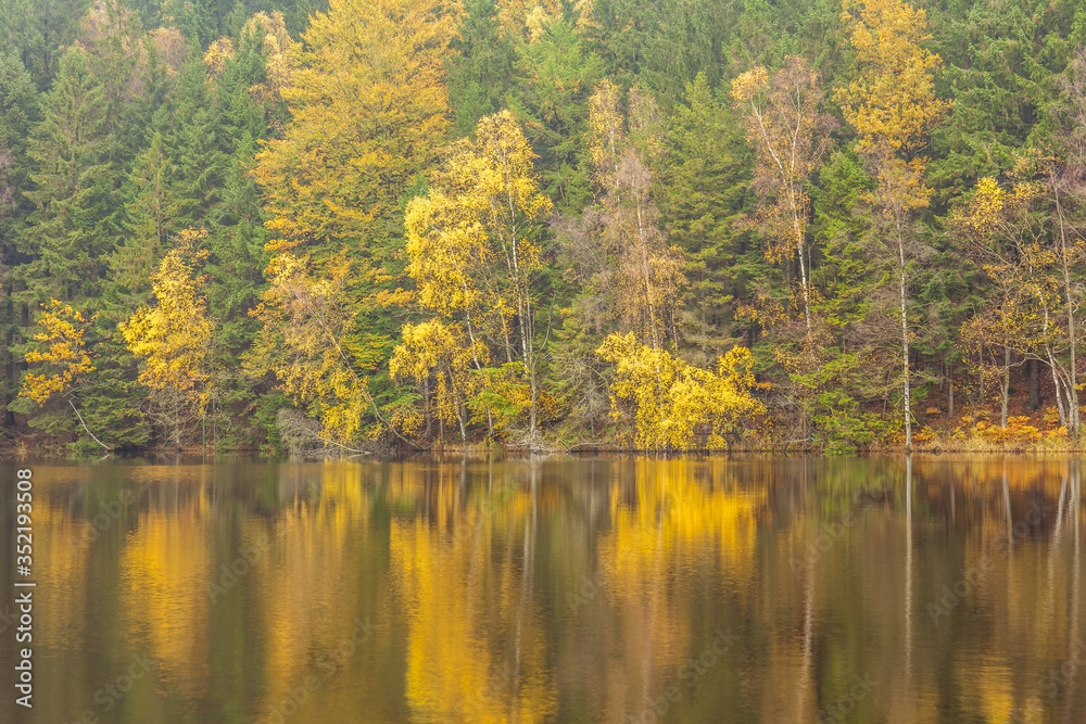Autumnal lake shore with forest under sky. Trees on rock coast of rippling lake in autumn sunny day. Beautiful panoramic landscape with yellow trees on big stones and lake.
