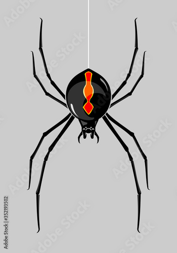 Black Widow Poisonous Spider, Descending