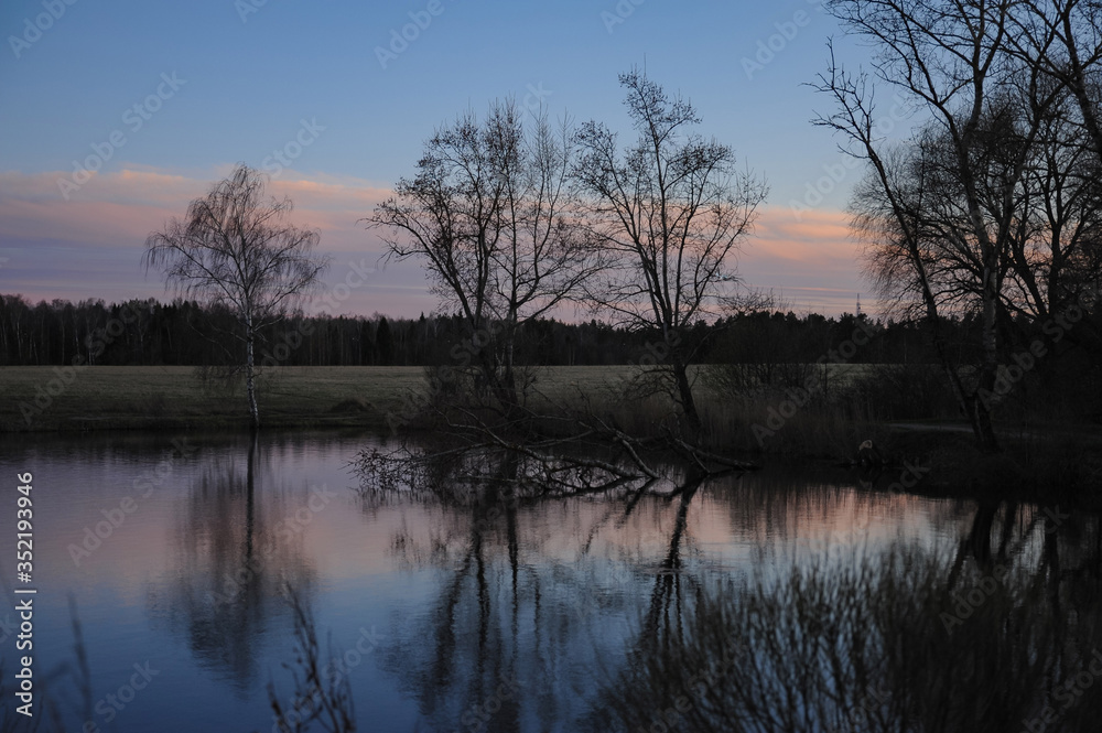 Trees on the shore of the pond at sunset against the blue sky