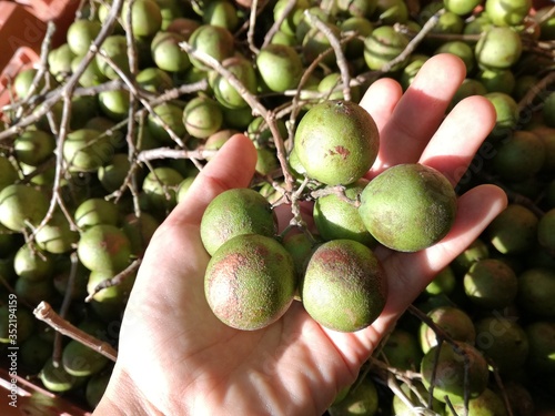 Mexican exotic fruit