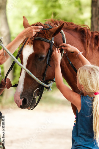 The instructor helps the girl to saddle a brown horse in the forest. Children's equestrian camp. Summer sports camp for children. A nice girl is learning to ride a horse.