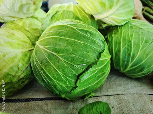 Close-up Fresh Wet Green Cabbage for Sale with Selective Focus