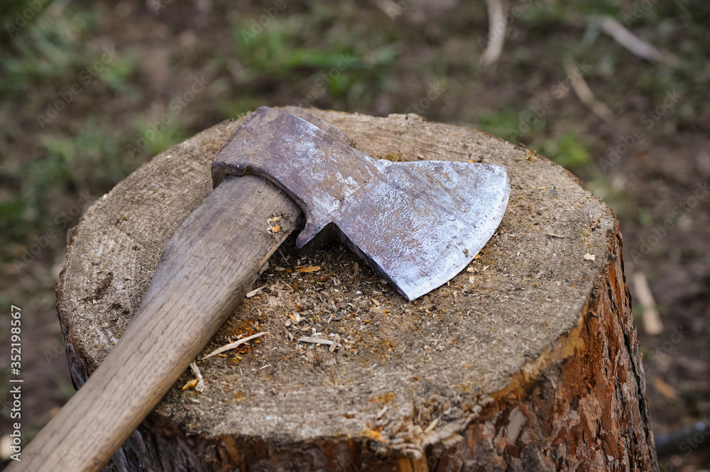 The axe on a log in the village The axe on a log in the village