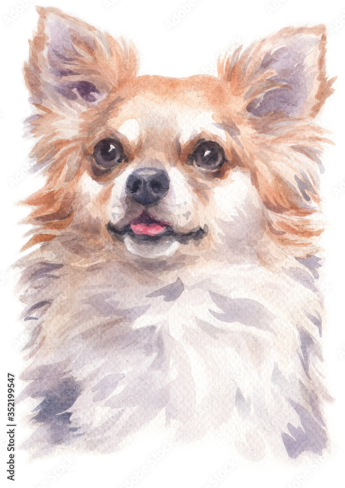 Water colour painting of Chihuahua 200