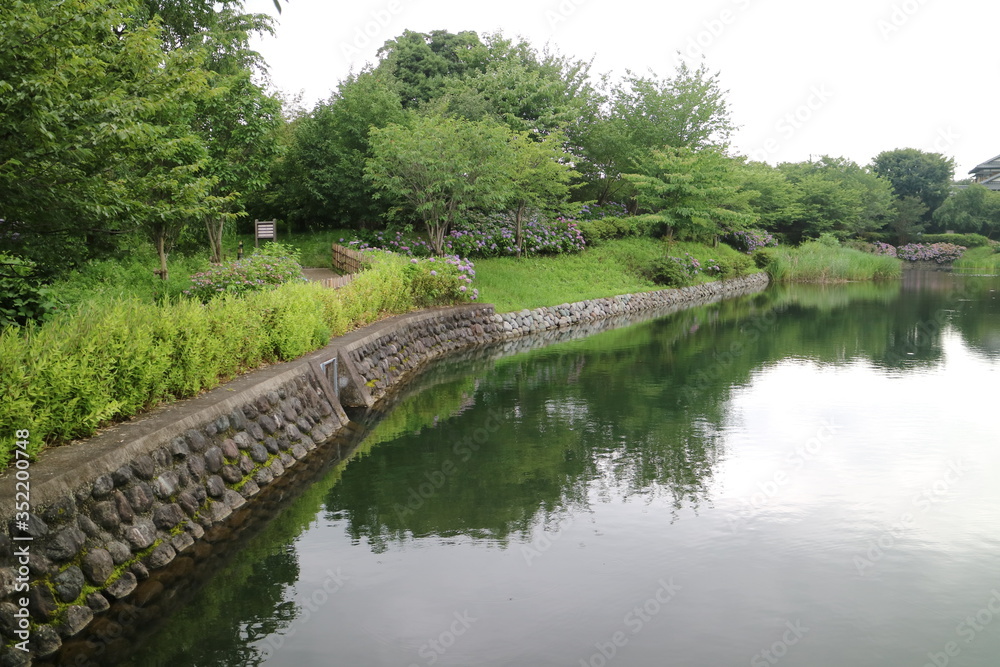 今泉名水桜公園（秦野市）