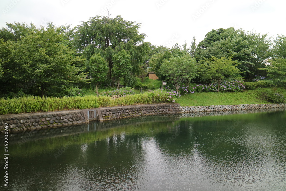 今泉名水桜公園（秦野市）