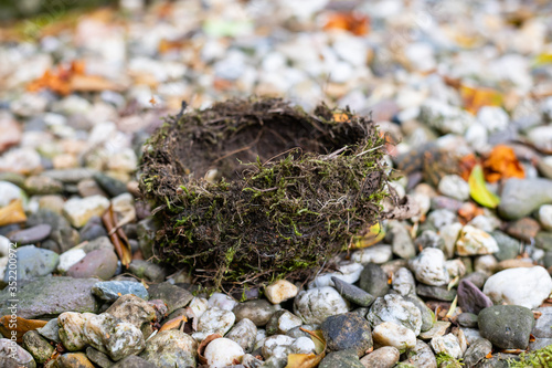 A bird's nest that has fallen out  of the tree and has a hole made of natural materials lies on small stones in a garden