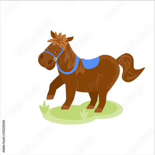 Funny pony. Cartoon vector isolated illustration in flat style with texture.