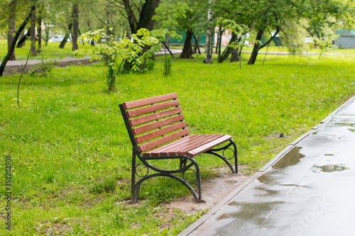 Beautiful Park with a single bench. Summer and nature.