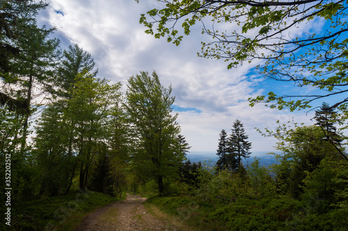 Fototapeta Naklejka Na Ścianę i Meble -  Spring trekking Beskidy do Magurka