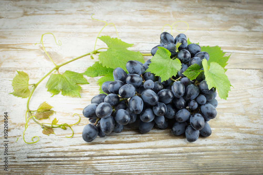 a bunch of grapes with green leaves on an old wooden background, horizontally, a copy of the space a bunch of grapes with green leaves on an old wooden background, horizontally, a copy of the space