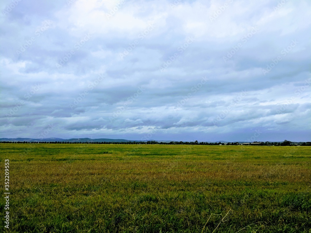 Obraz premium green field and sky