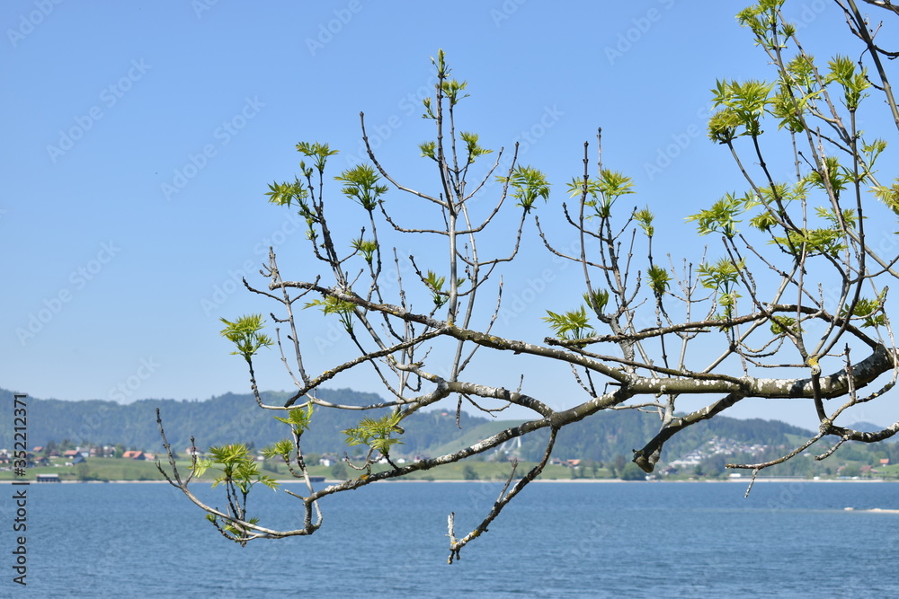 ausblick über den Sihlsee in der Schweiz am 18.5.2020 ausblick über den Sihlsee in der Schweiz am 18.5.2020