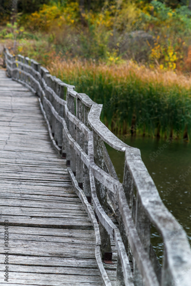 Fototapeta premium Old wooden bridge over the riverbed