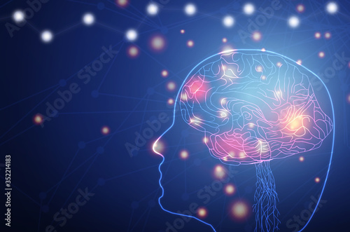 Human head and brain. head and brain on blue background Artificial Intelligence concept, Technology, concept. Innovation technology creative thinking