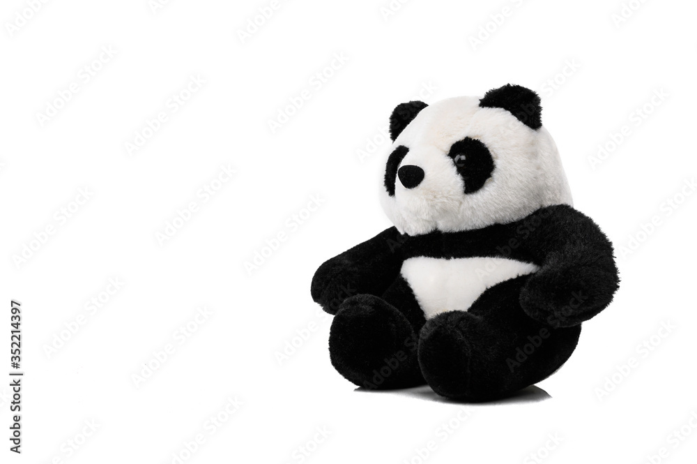 Animal toy : Panda bear doll isolated on white background.