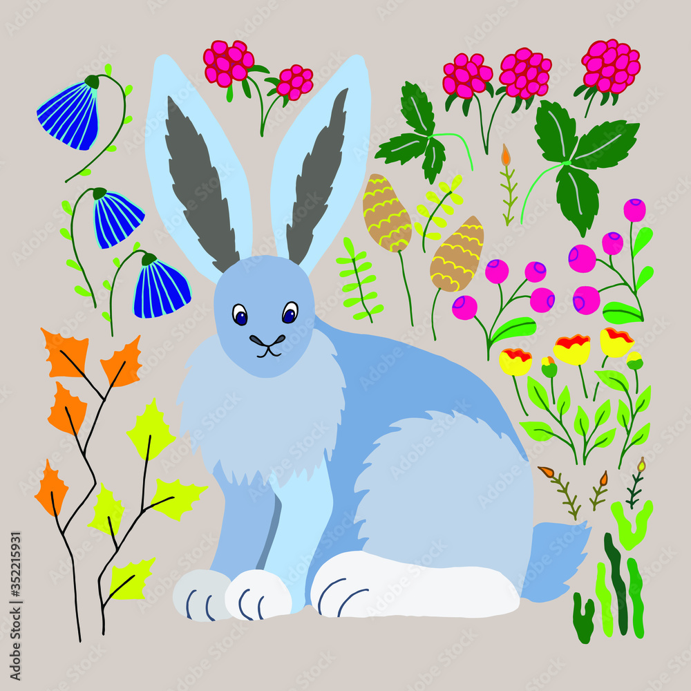 Obraz premium Lepus arcticus. Arctic hare vector isolated illustration. Polar hare. The animal lives in the north in Canada. Design raspberries, lingonberries, aspen, poppy, moss, lichen. Print, poster, book.