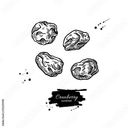 Dried cranberry vector drawing. Hand drawn dehydrated berry. Dry fruit illustration.