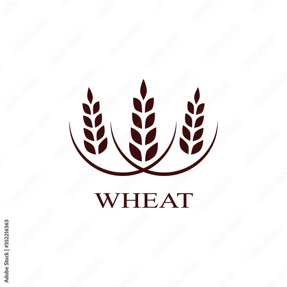 Agriculture wheat logo vector illustration isolated on white