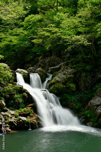 新緑の三段峡