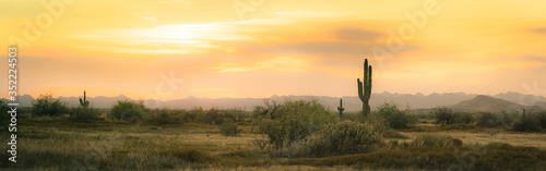 A desert sunset panorama with a saguaro cactus silhouetted against the evening sky in the Sonoran Desert of Arizona.