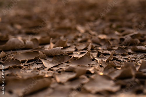 Cracked soil landscape texture on ground earth with natural light sunset of the sun with dramatic yellow and orange sky. Image depth of field.