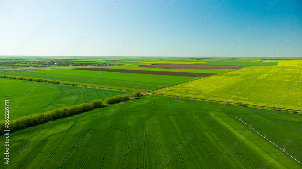 Agriculture aerial view green and yellow fields from above aerial view