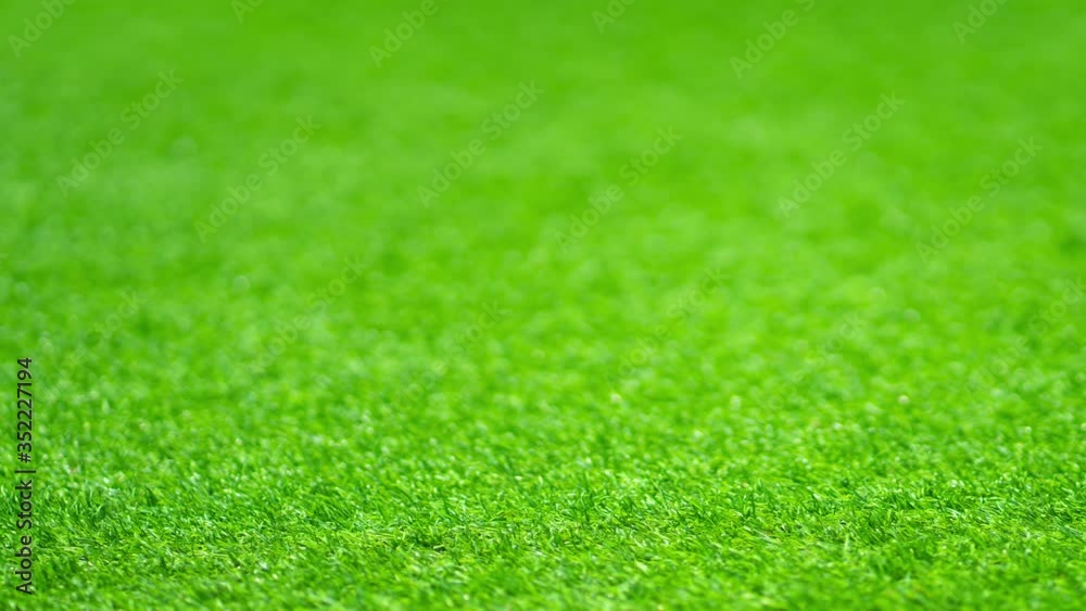 pan shot camera on green grass background