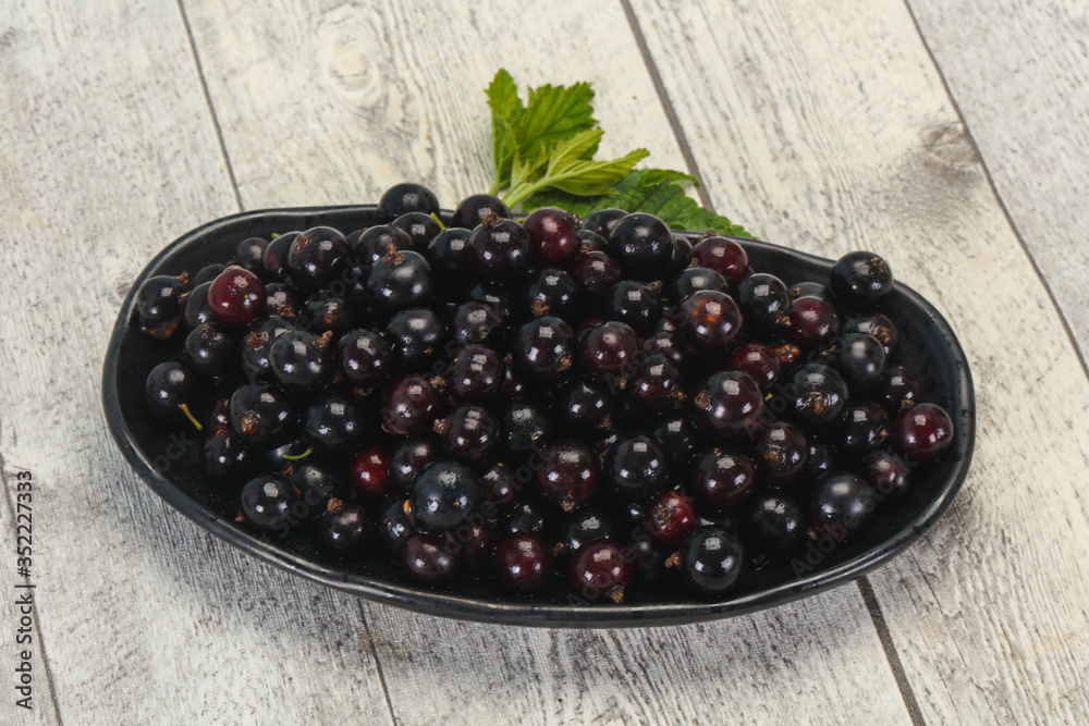 Fresh ripe sweet black currant Fresh ripe sweet black currant