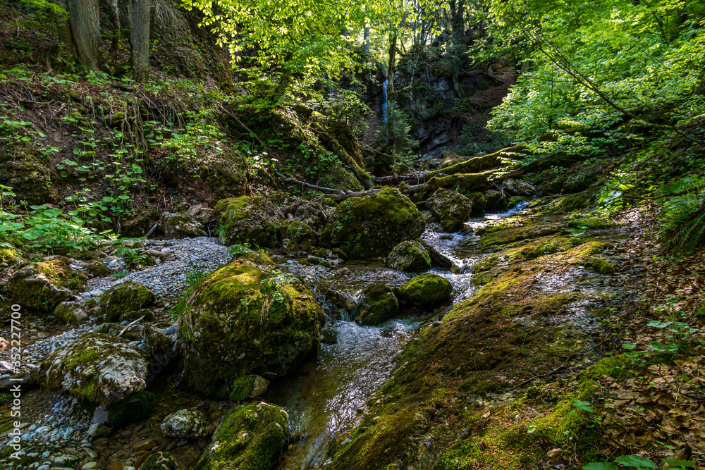 Nature reserve Aachtobel Nature reserve Aachtobel