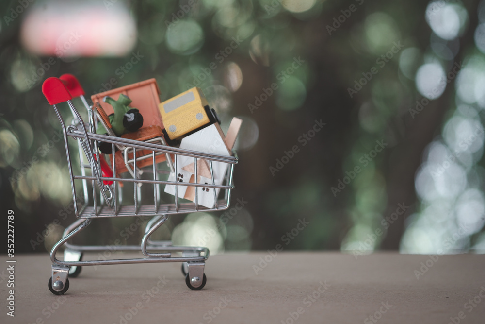Still life of a small shopping cart with many thing for life