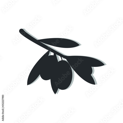 Olive shadow on a white background
