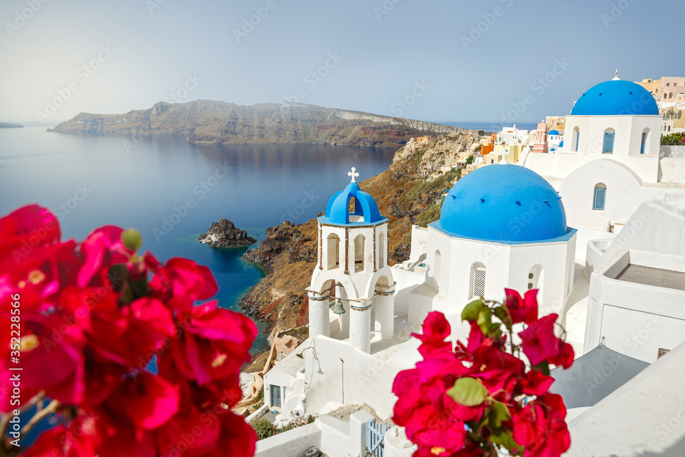 Fototapeta premium Bougainvillea kwiaty na tle Santorini