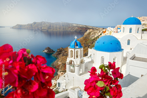 Flowers bougainvillea on the background of of Santorini