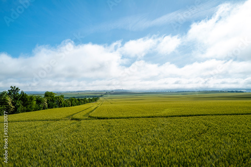 agriculture en auvergne 2