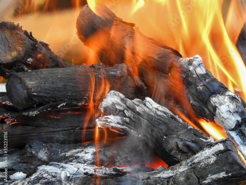 Burning wood fire with flames