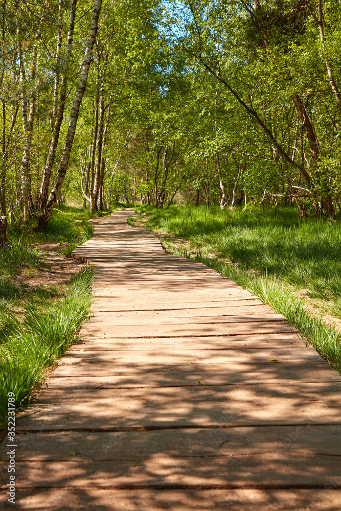 Holzweg durch das Venner Moor, einem Naturschutzgebiet in der Gemeinde Senden in Nordrhein-Westfalen, Deutschland.