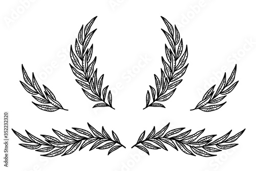 vintage set of branches with leaves and wreath
