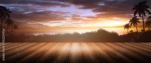 Night landscape with palm t...